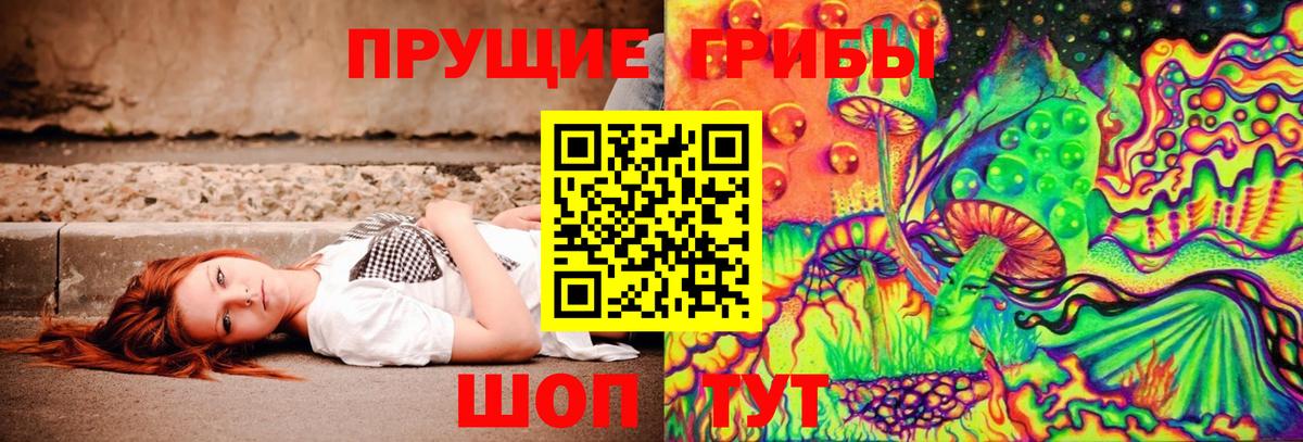 Галлюциногенные грибы Cubensis  Вход с VPN  Симферополь 